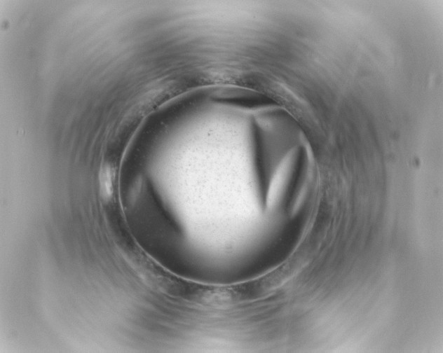 X0000088890075200706221850