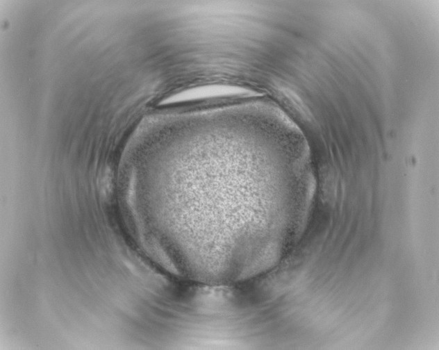 X0000088890077200706221850