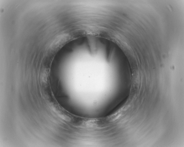 X0000088890078200706221850