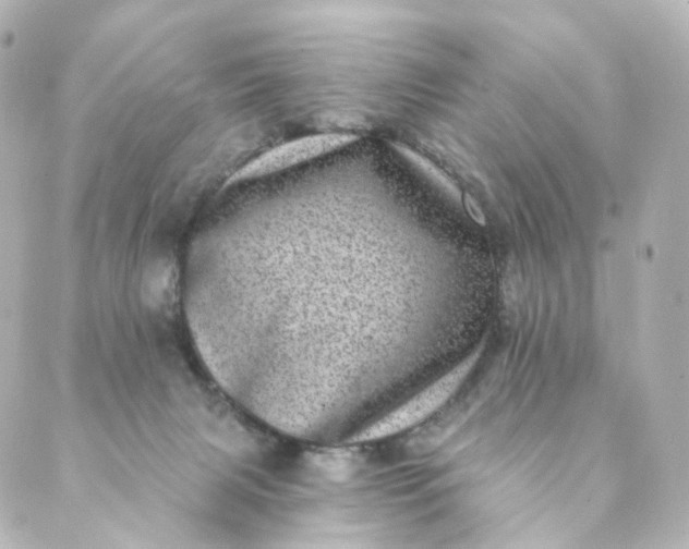 X0000088890079200706221850