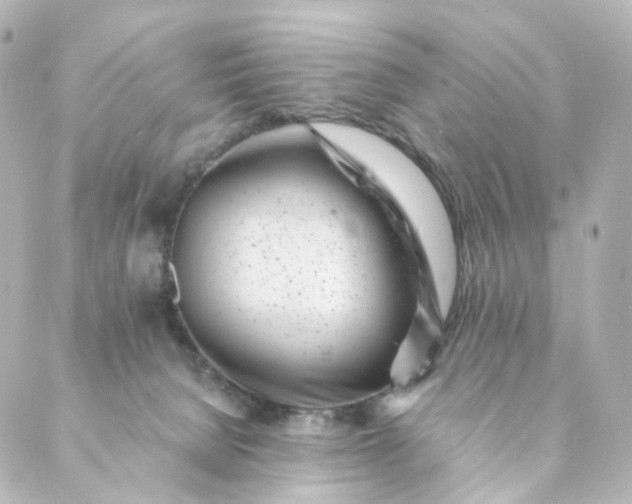 X0000088890080200706221850