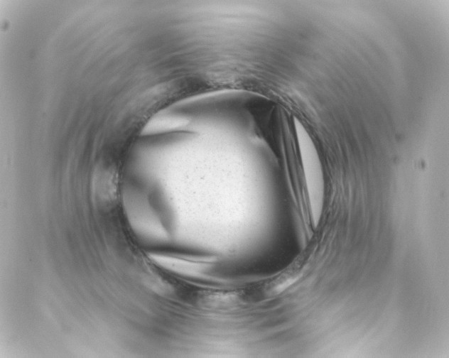 X0000088890081200706221850