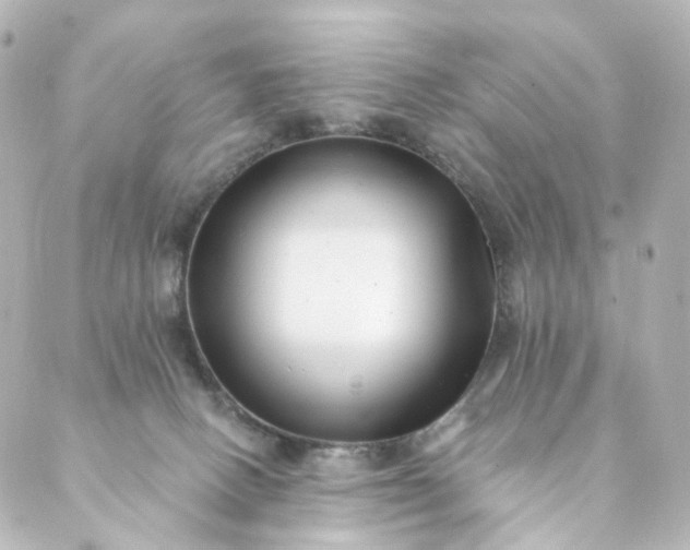 X0000088890082200706221850