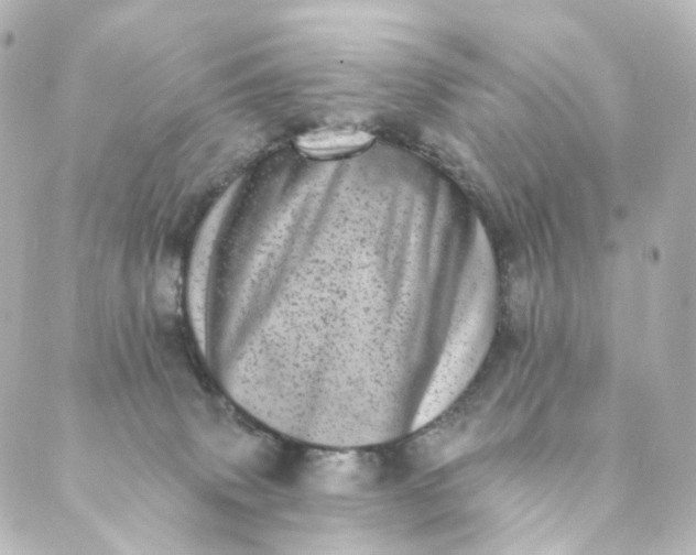 X0000088890083200706221850