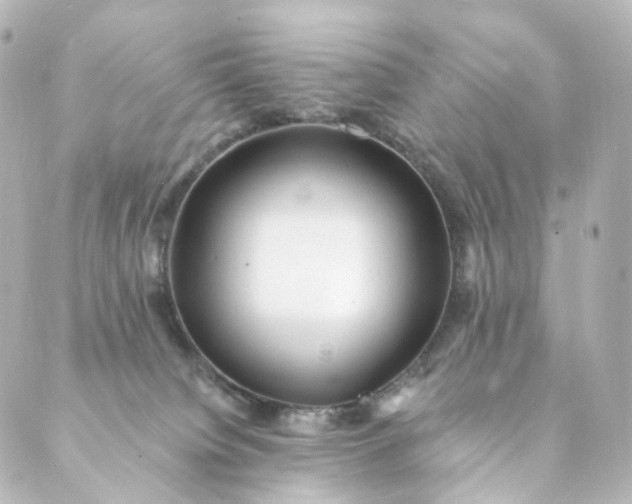 X0000088890084200706221850