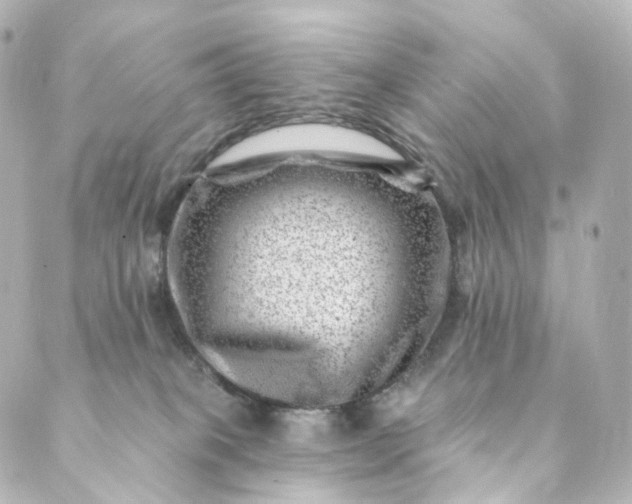 X0000088890085200706221850