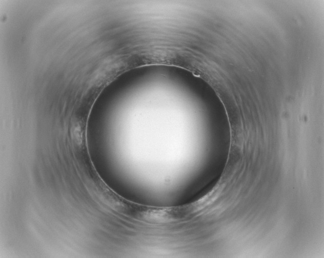 X0000088890086200706221850