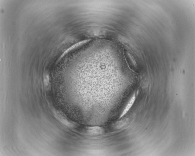 X0000088890087200706221850