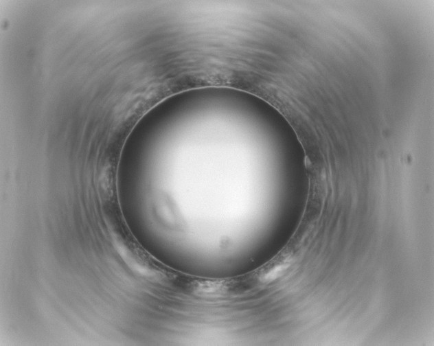 X0000088890088200706221850