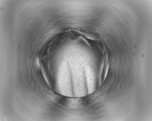 X0000088890089200706221850