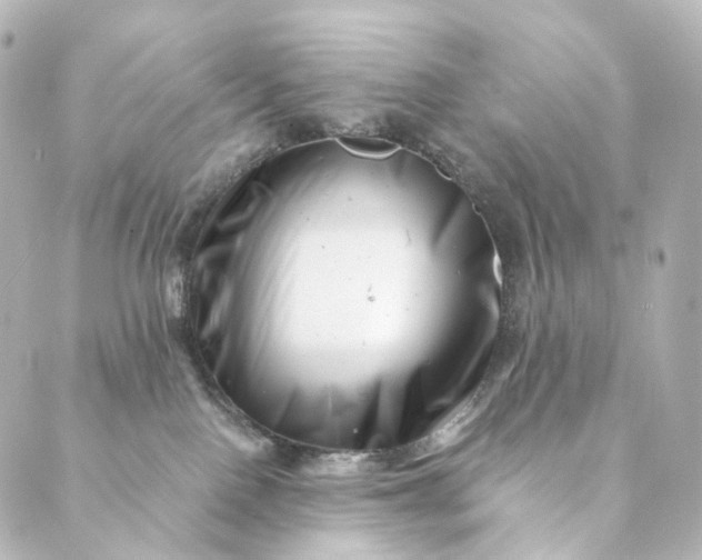 X0000088890090200706221850