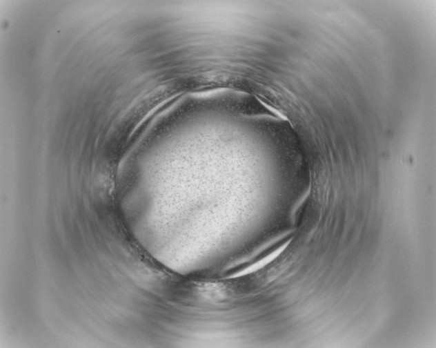 X0000088890091200706221850