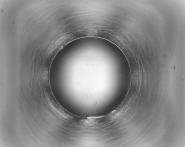 X0000088890092200706221850