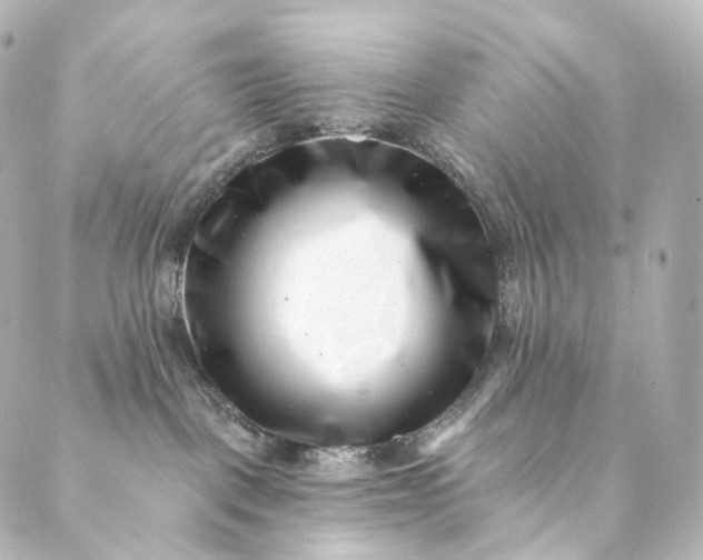 X0000088890093200706221850