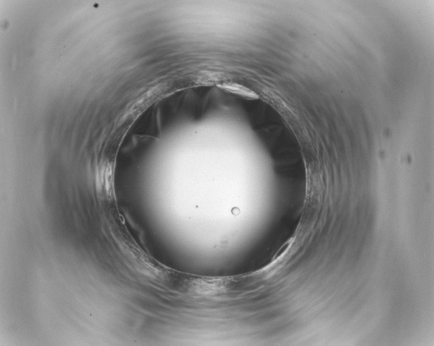 X0000088890094200706221850