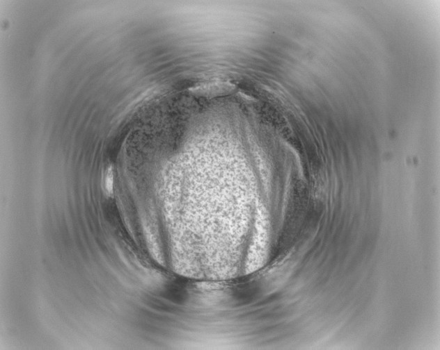 X0000088890095200706221850