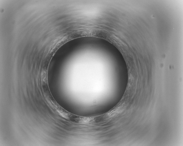 X0000088890096200706221850