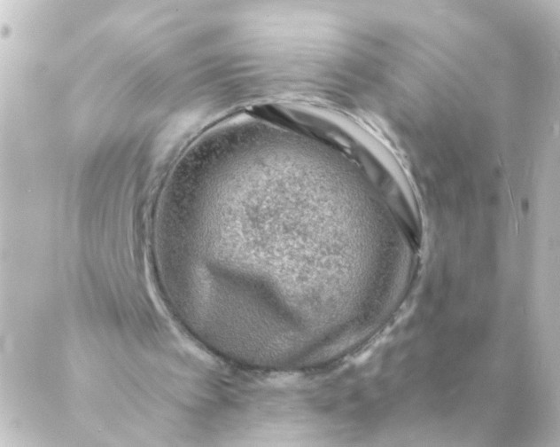 X0000088890097200706221850