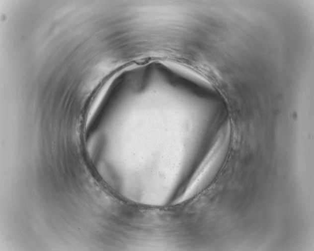 X0000088890098200706221850