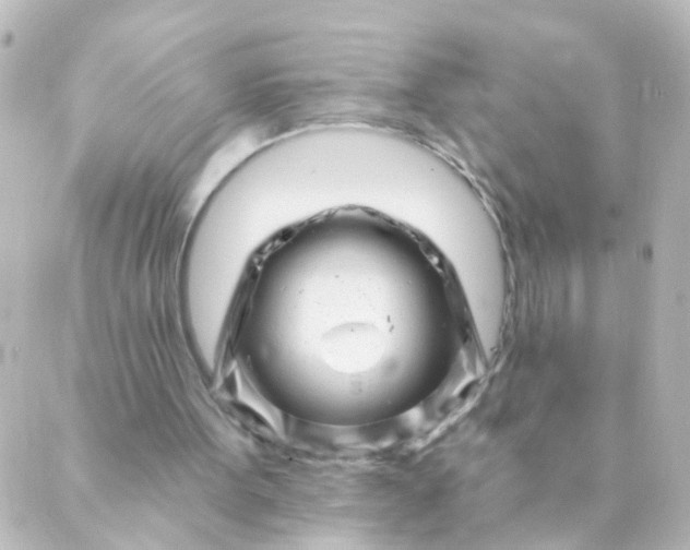 X0000088890099200706221850