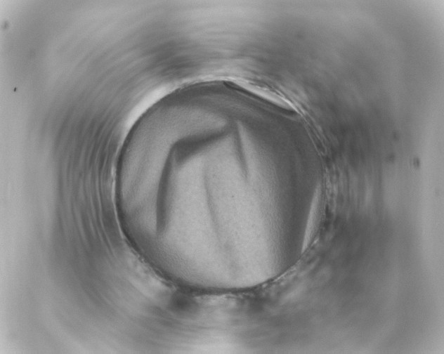 X0000088890100200706221850