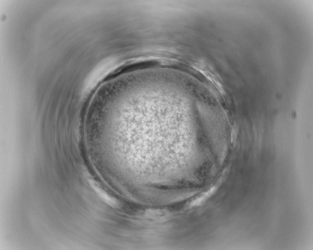 X0000088890101200706221850