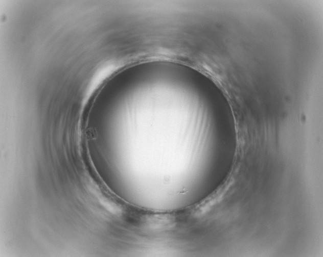 X0000088890102200706221850