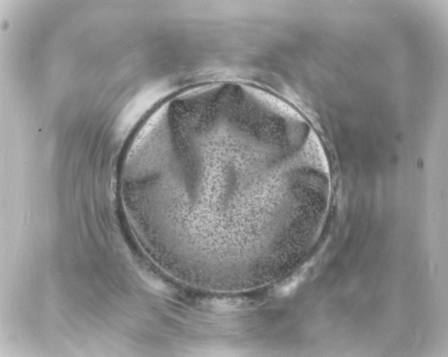 X0000088890103200706221850