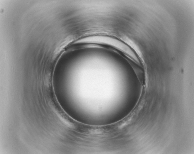 X0000088890105200706221850