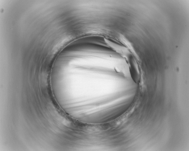 X0000088890106200706221850