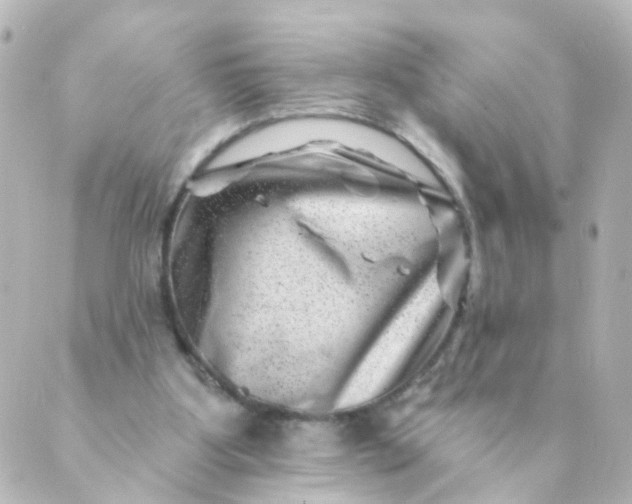 X0000088890107200706221850