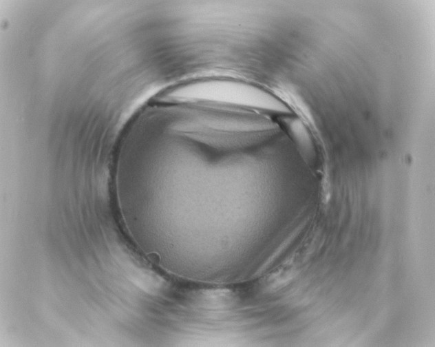 X0000088890108200706221850