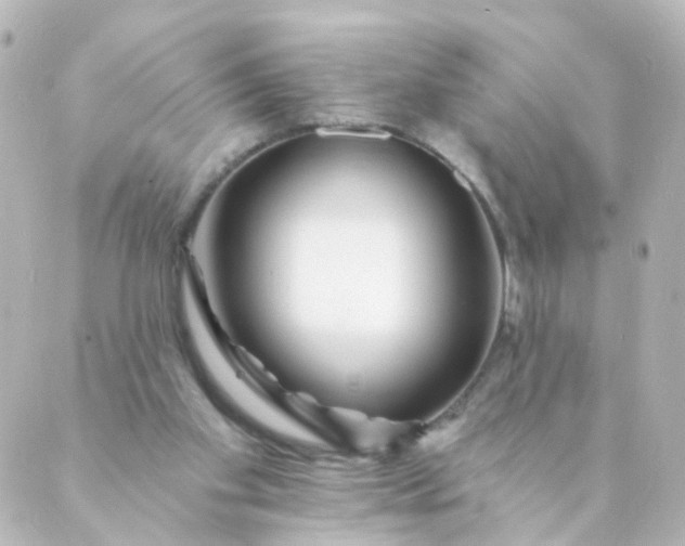 X0000088890109200706221850