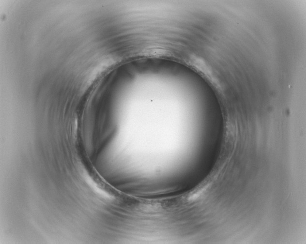 X0000088890110200706221850