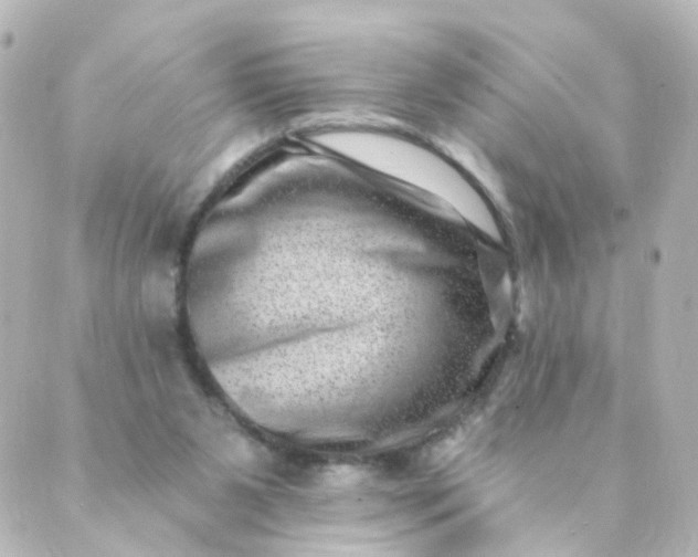 X0000088890111200706221849