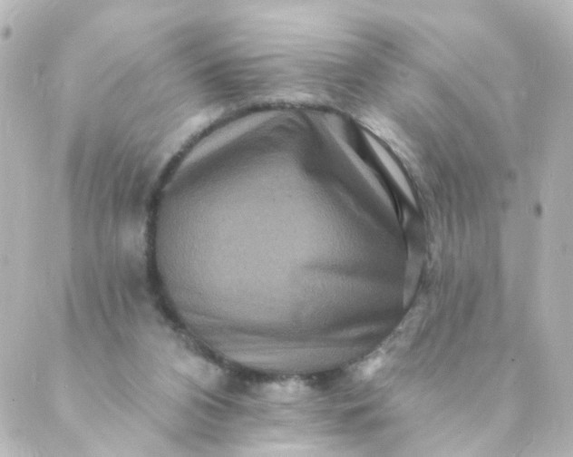 X0000088890112200706221849