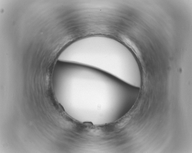 X0000088890113200706221849