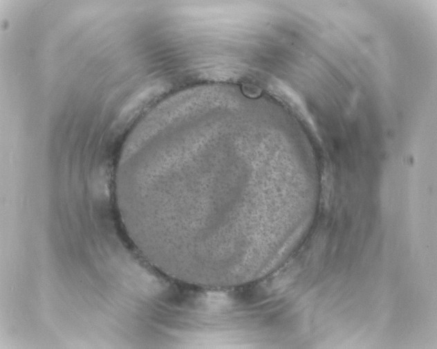 X0000088890114200706221849