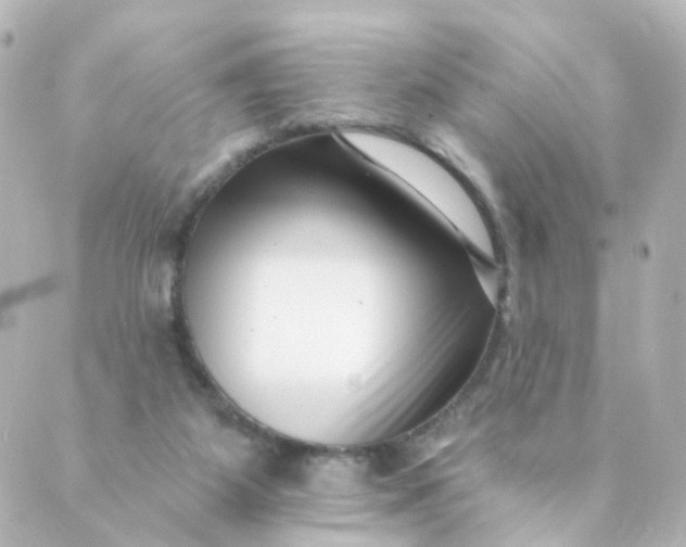 X0000088890115200706221849