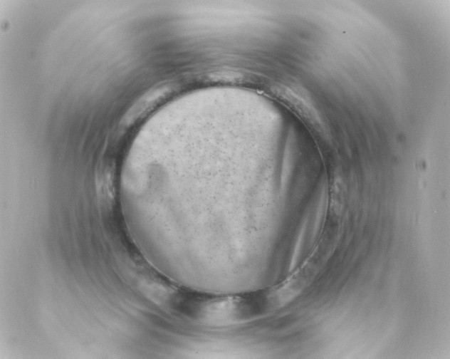 X0000088890116200706221849