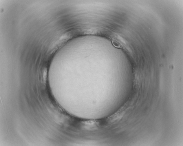 X0000088890118200706221849