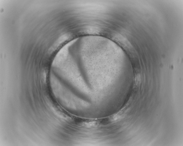 X0000088890120200706221849