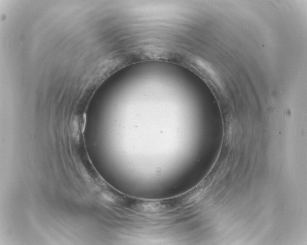 X0000088890121200706221849