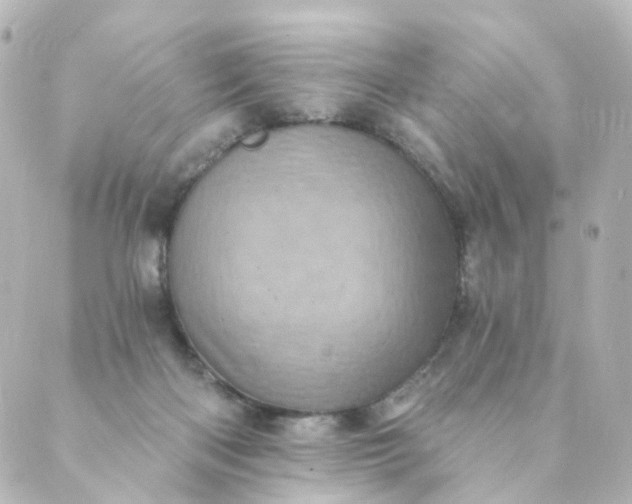 X0000088890122200706221849