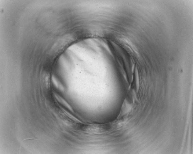 X0000088890123200706221849