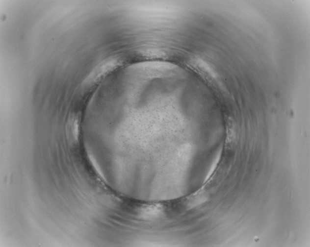 X0000088890124200706221849