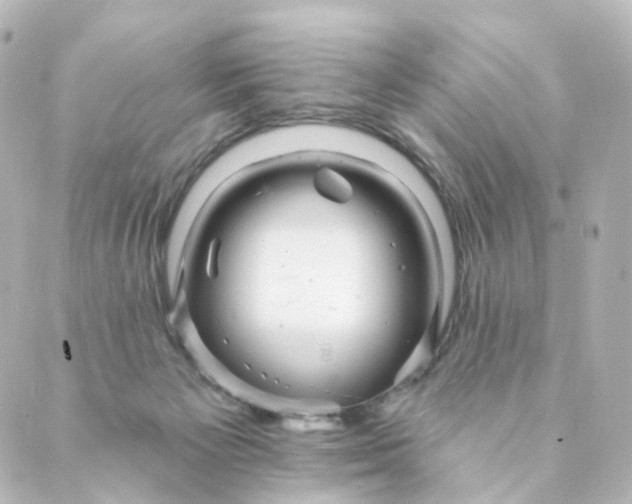 X0000088890125200706221849