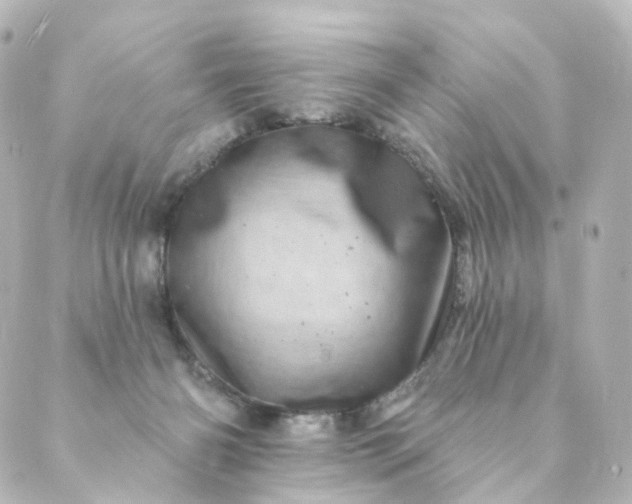 X0000088890126200706221849