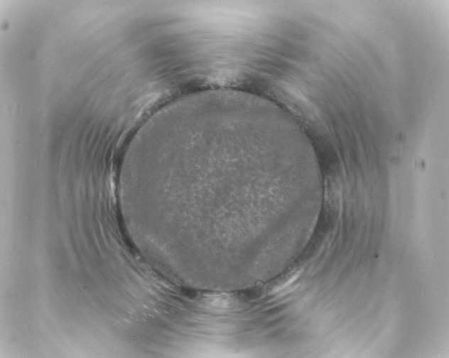 X0000088890127200706221849