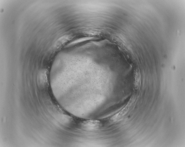 X0000088890128200706221849